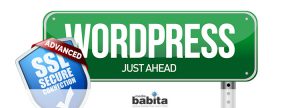 icona art Come impostare il certificato SSL di Cloudflare con WordPress